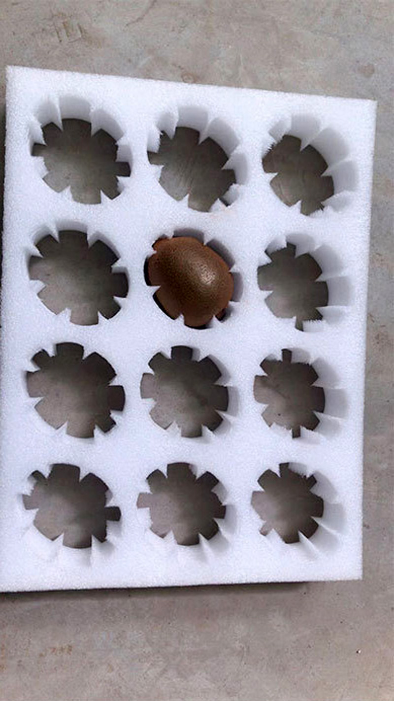珍珠棉托